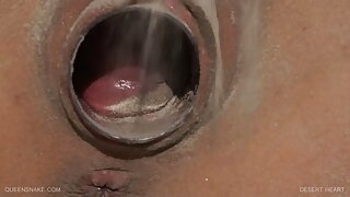 Lube прави сè возможно! видео (Клаудија Аткинс) - 2022-02-22 07:21:26